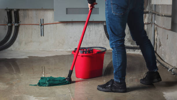 Best Water damage restoration near me  in West End, NY