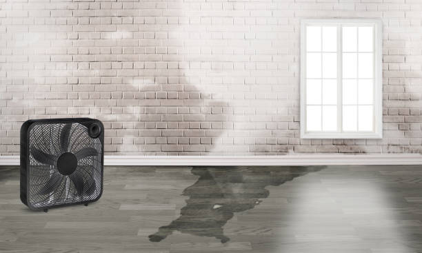 Sewage cleanup and water damage restoration in West End, NY