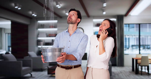 Best Basement water damage restoration  in West End, NY